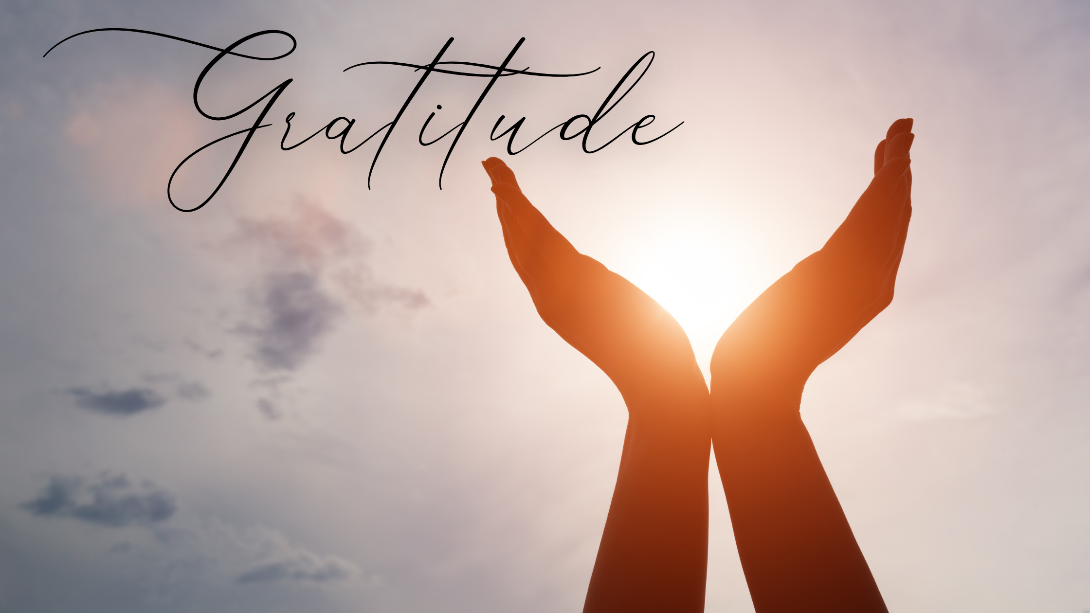 The Impact of Gratitude