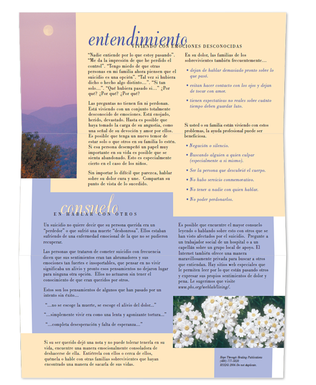 Spanish Grief Series: Suicide #2