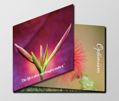 Specialty Card | Optimism